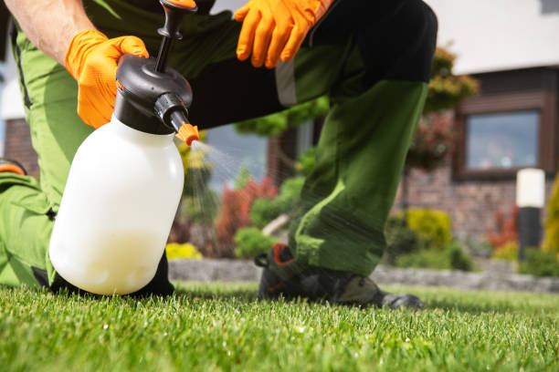 Best Bed Bug Extermination  in Sunflower, MS
