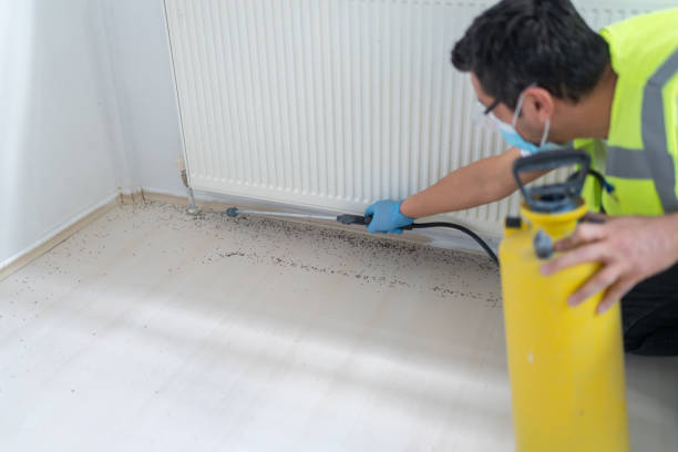 Best Pest Removal Services  in Sunflower, MS